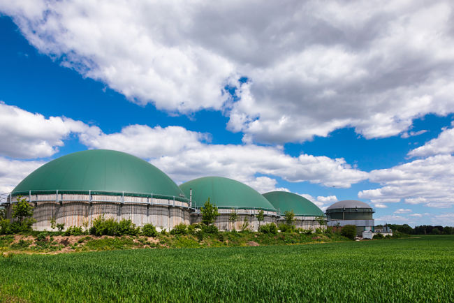 Bioplyn, obnovitelný zdroj