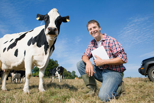 Bioplynka se hodí i majitelům hospodářských zvířat.